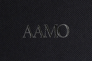 AAMO logo