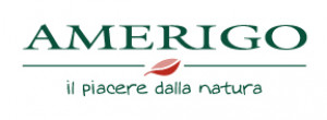 Amerigo