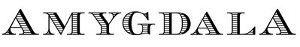 Amygdala