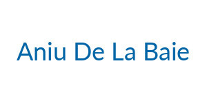 Aniu De La Baie Logo