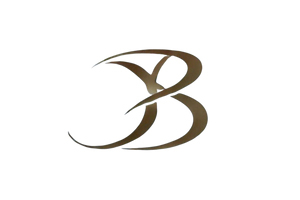 Brigion Logo