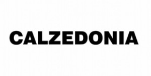 Calzedonia Logo