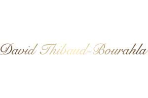 David Thibaud-Bourahla Logo