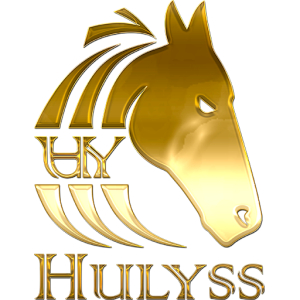 Hulyss Logo