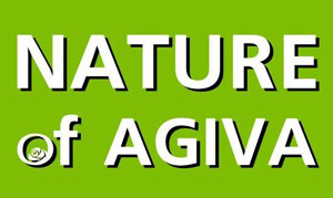 Nature Of Agiva Logo