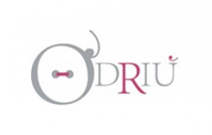 O'Driu Logo