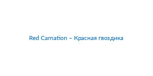 Red Carnation – Красная гвоздика logo