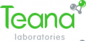 Teana Logo