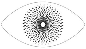 The Eyes Are Always There Logo