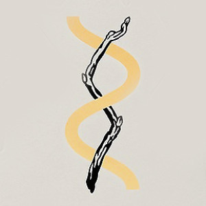 Tree Of Life Logo